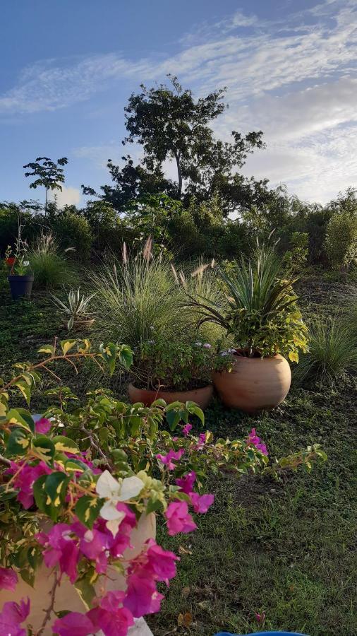 P'Tites Chambres Dans La Campagne De Marie Galante Grand-Bourg  Exterior foto